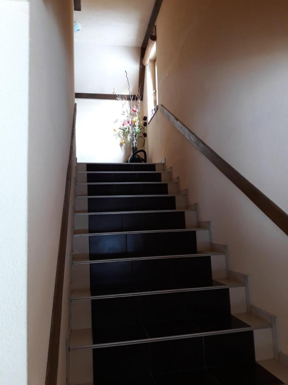 Apartments Vucko 블라시츠 외부 사진